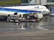ANA AIRBUS A320-211